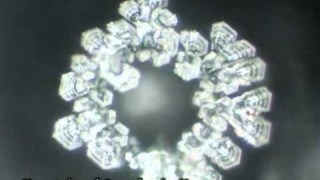 Mensajes del Agua – Dr. Masaru Emoto