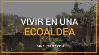 Ecoaldeas