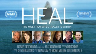 Heal (Sanar)