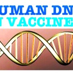 human-dna