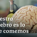 Nuestro cerebro es lo que comemos