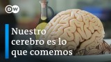 Nuestro cerebro es lo que comemos