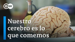 Nuestro cerebro es lo que comemos