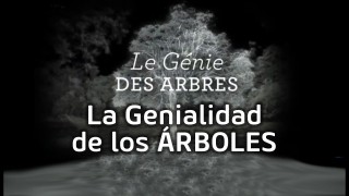 La genialidad de los árboles